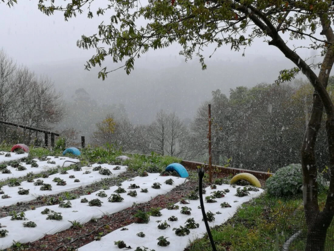 Participantes nun curso práctico de agroecoloxía