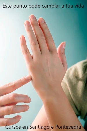 Mostra de sementes autóctonas en mesas de obradoiro